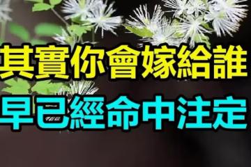 不管你信不信「你會嫁給誰」其實早已經命中注定　「過得好的女人」更懂得怎麽爲自己選擇！