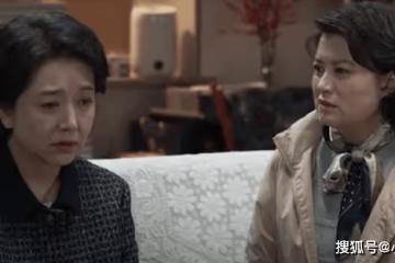 《罰罪》趙鵬超暗中調查,嚴國華和韓亞關係曝光,揭穿多年隱秘