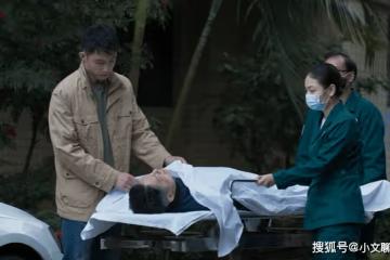 《罰罪》肖振邦跳樓前做了3件事,幫了趙家,毀了肖晨最後的期待