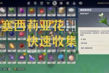 《原神》塞西莉亞花採集路線推薦