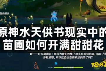 原神水天供書後續新蓓萌生任務攻略 水天供書現實中的苗圃如何開滿甜甜花