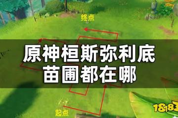 原神桓斯彌利底位置 桓斯彌利底苗圃都在哪