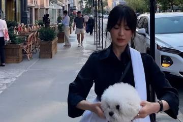 宋慧喬生活近照少女感十足,粉絲希望她重新擁有新的愛情