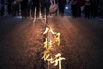 電視劇八月桂花開第1-10集分集劇情介紹 八月桂花開播出時間,什麼時候播出