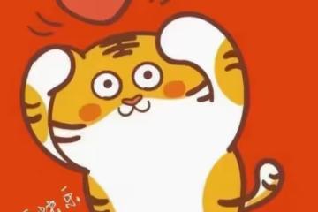 代言賭博平台，他終於道歉了？！
