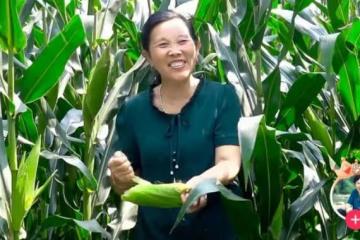 "山村網紅"潘姥姥：從負債纍纍到年入1800萬，她到底經歷了什麼？