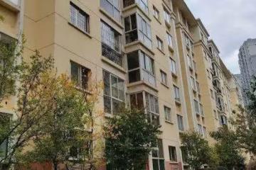 老公把前女友的孩子帶回家，我提離婚，老公：給你60萬別和我鬧