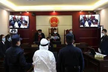 地窖囚禁侵犯少女案真相詳情細節深扒 嫌疑人龍喜和被執行死刑