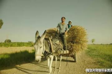 《隱入塵煙》真實!有人說是在迎合西方的審美?從而醜化我們?