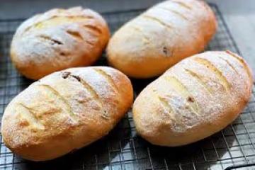 自由歐包（波蘭種）