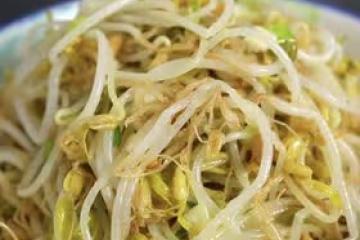 超簡單韓式小菜 涼拌豆芽