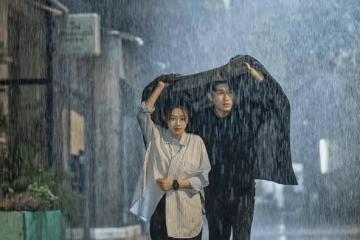 《我的秘密室友》更新時間是怎樣的？《我的秘密室友》主要講述了什麼內容？
