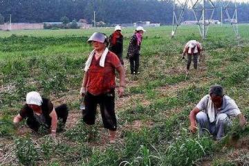 侄子來我家住三天,家裡少五百,老婆認為侄子偷錢,我給他一巴掌