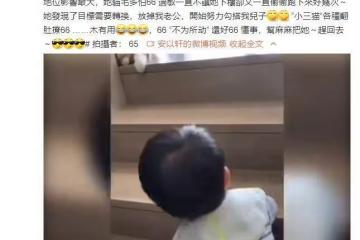 安以軒曬「用兒子擊退小三」,小66爬樓梯追貓貓,動作超萌超可愛