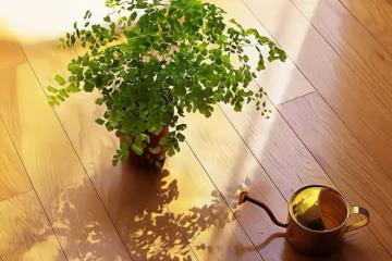 「我有錢,以後誰也不靠」有多少存款才夠養老?其實真的不用很多