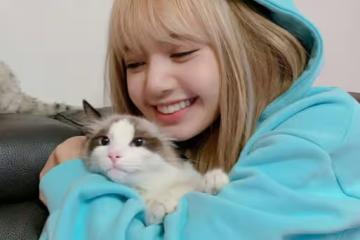 韓流四代女團餘威過大,TWICE和BLACKPINK攜手,壓制五代女團多年