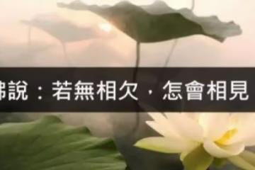 所有的遇見,都是一種償還!「若無相欠,怎會相見」