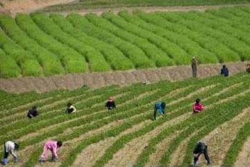 我三歲過繼給姑媽,如今我年薪20萬,母親和姑媽讓我每月各給五千