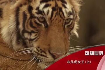 趙忠祥事件女主角：當年讓其顏面掃地的女醫生，如今過得如何？