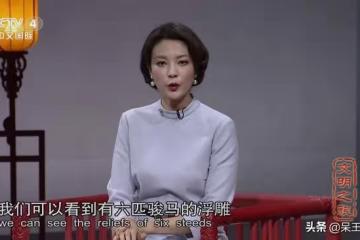 央視主持人劉芳菲：事業發展走下坡路，45歲至今單身