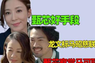 家族榮耀:龍文標馬昭慈聯姻,甄芯察覺馬可陰謀