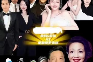 張蘭把罵她最凶的那個網友給告了，誓要讓對方過年坐牢？