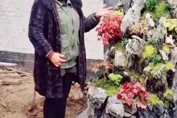 徹底和好了？大衣哥給兒子兒媳的新房弄了一個「高山流水」