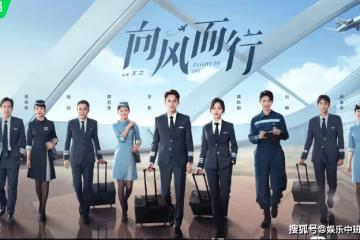王凱新劇《向風而行》定檔，化身航空客運飛行部副部長
