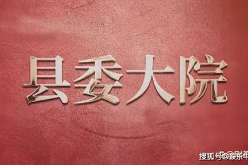 《縣委大院》在村幹部群體中，梁三寶是傳統型，林志為是理想型