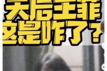 感情生變？網傳謝霆鋒帶愛貓離京，王菲獨自就餐狀態低落似哭過