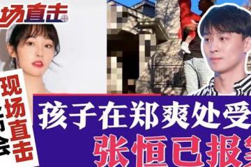 張恆指控鄭爽虐童，被曝因證據不足駁回指控，他計劃告兒童保護局