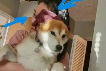 鄭爽曬與兒女的幸福合照，網友卻說她的表情還沒有抱狗合照時開心