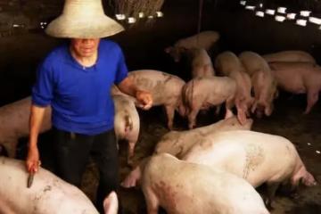 老公去世，我哭三天三夜，打開遺囑：「你怎麼不早點死」