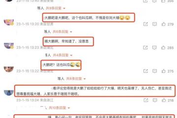 出軌還是婚變？大鵬被曝又有新家庭，寶寶已經一兩歲，長得很像他