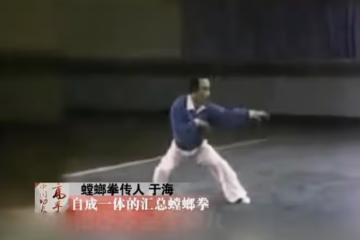 81歲螳螂拳大師于海去世,曾參演《少林寺》,是李連杰吳京的師傅